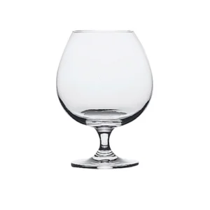 CHARANTE 543 ML COPA COGNAC PASABAHCE