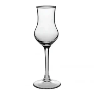 GRAPPA 95 ML COPA PISCO PASABAHCE
